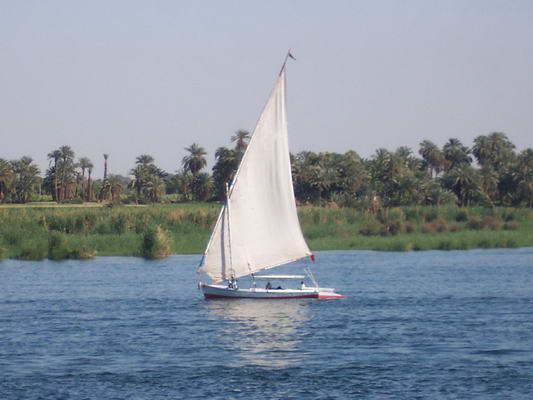 Felucca In Egypt