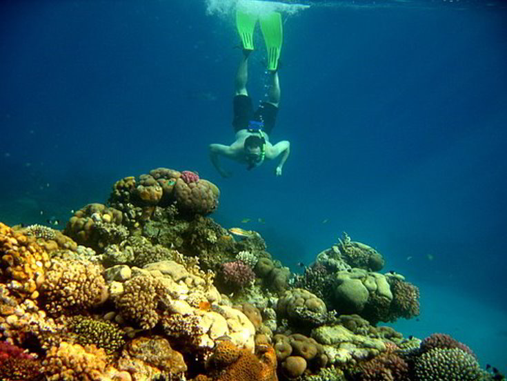 Egypt-Red sea diving
