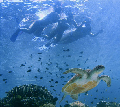 Snorkeling_Egypt Tours_Egypt Snorkeling Holidays
